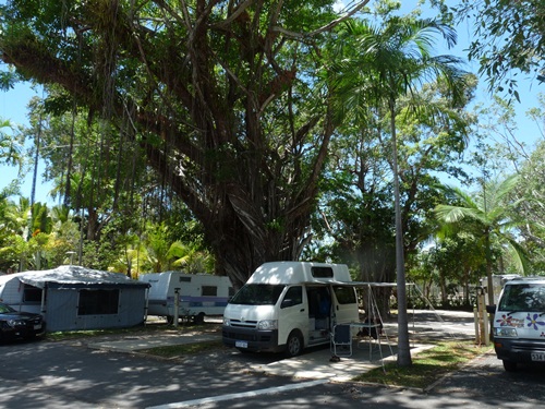 Caravanpark Port Douglas